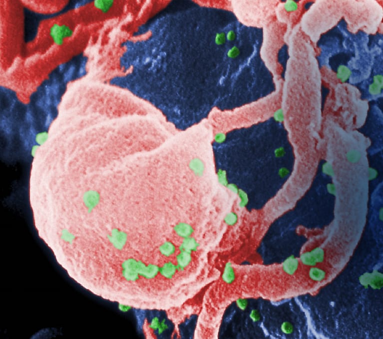 Low-Level Viremia in Persons Living With HIV